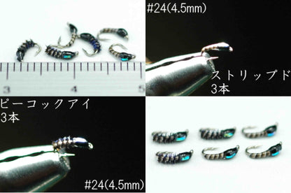 Yusurika Flash Pupa Peacock #24 Set of 6