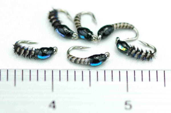 Yusurika Flash Pupa Peacock #22 Set of 6