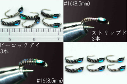 Chrysalis Flash Pupa Peacock #16 Set of 6