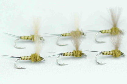 CDC Dan Blue Wing Olive Quill Body #20 Set of 6