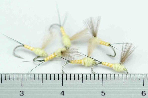 CDC Dunn Pale Yellow Quill Body #18 Set of 6