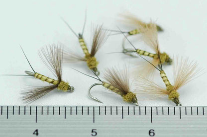 CDC Spinner Blue Wing Olive Quill Body #18 Set of 6