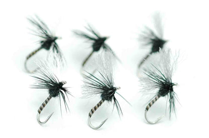 ADW Midge Cripple Black #20 Set of 6