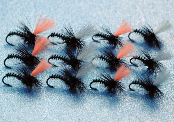 Peacock Parachute Green Set of 12