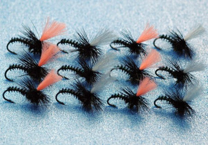 Peacock Parachute Green Set of 12