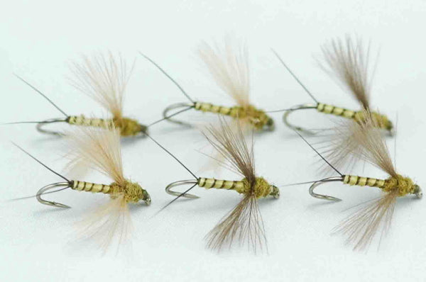 CDC Spinner Blue Wing Olive Quill Body #16 Set of 6