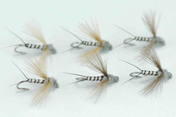 CDC Spinner Muskrat Gray Quill Body #20 Set of 6