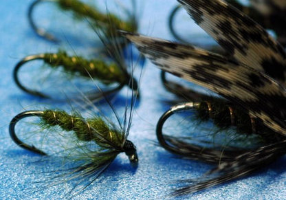 Bearded Wet & Soft Hackle (2) Set of 6