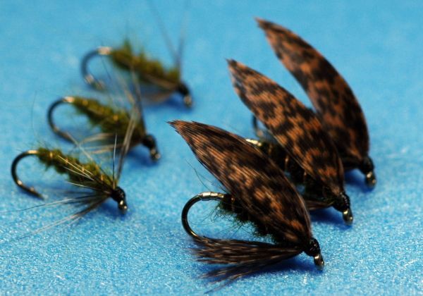 Bearded Wet & Soft Hackle (1) Set of 6