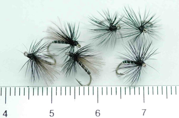 CDC Midge Adult Black #18 Set of 6