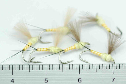 CDC Dunn Pale Yellow Quill Body #16 Set of 6