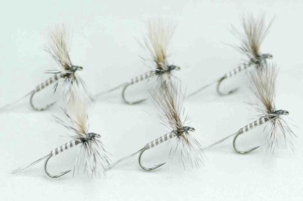 CDC Mosquito #16, set of 6