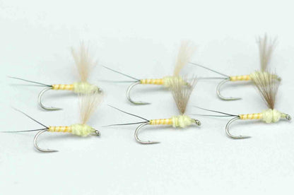 CDC Dunn Pale Yellow Quill Body #16 Set of 6