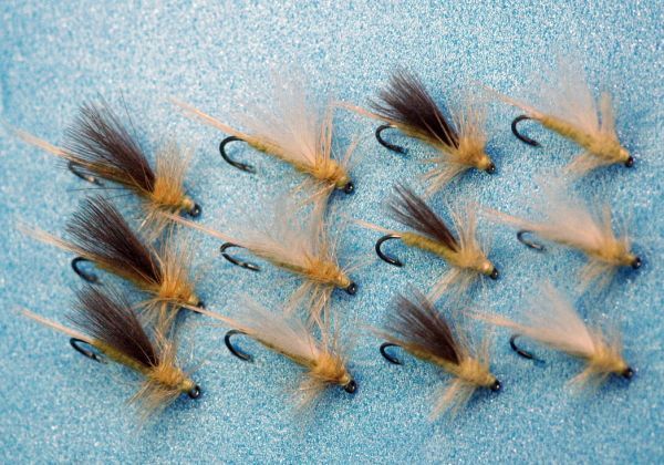 CDC Yellow Sally, set of 12