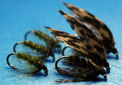 Bearded Wet & Soft Hackle (2) Set of 6