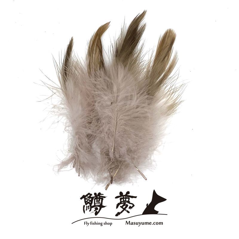 Eagle Marabou Vulthur Gryphus