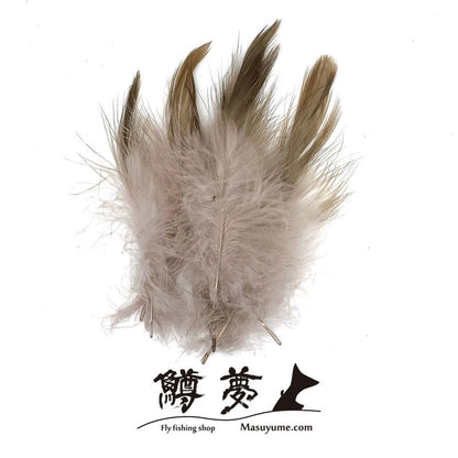 Eagle Marabou Vulthur Gryphus