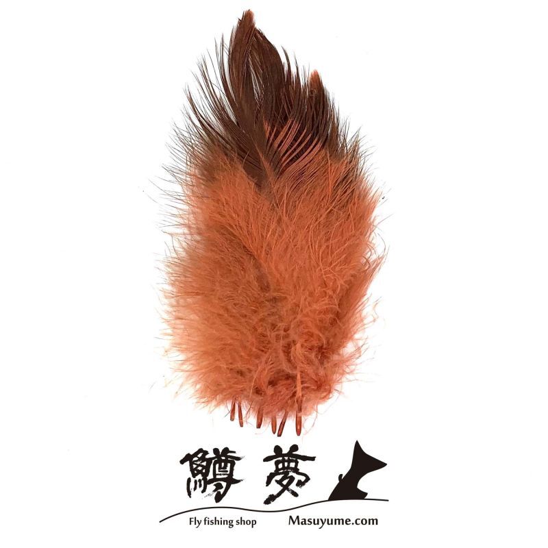 Eagle Marabou Vulthur Gryphus