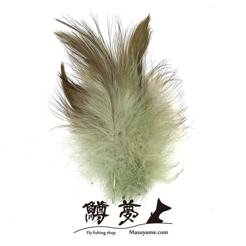 Eagle Marabou Vulthur Gryphus