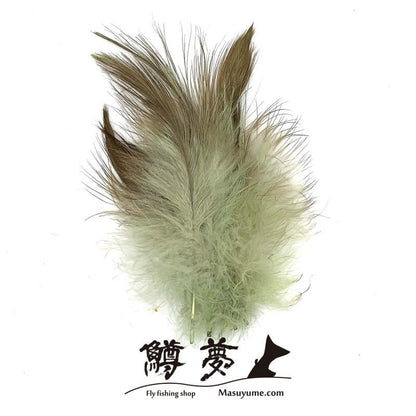 Eagle Marabou Vulthur Gryphus