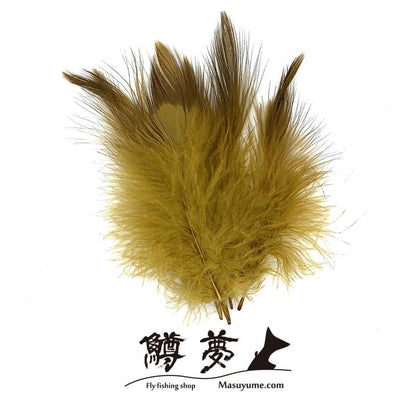 Eagle Marabou Vulthur Gryphus