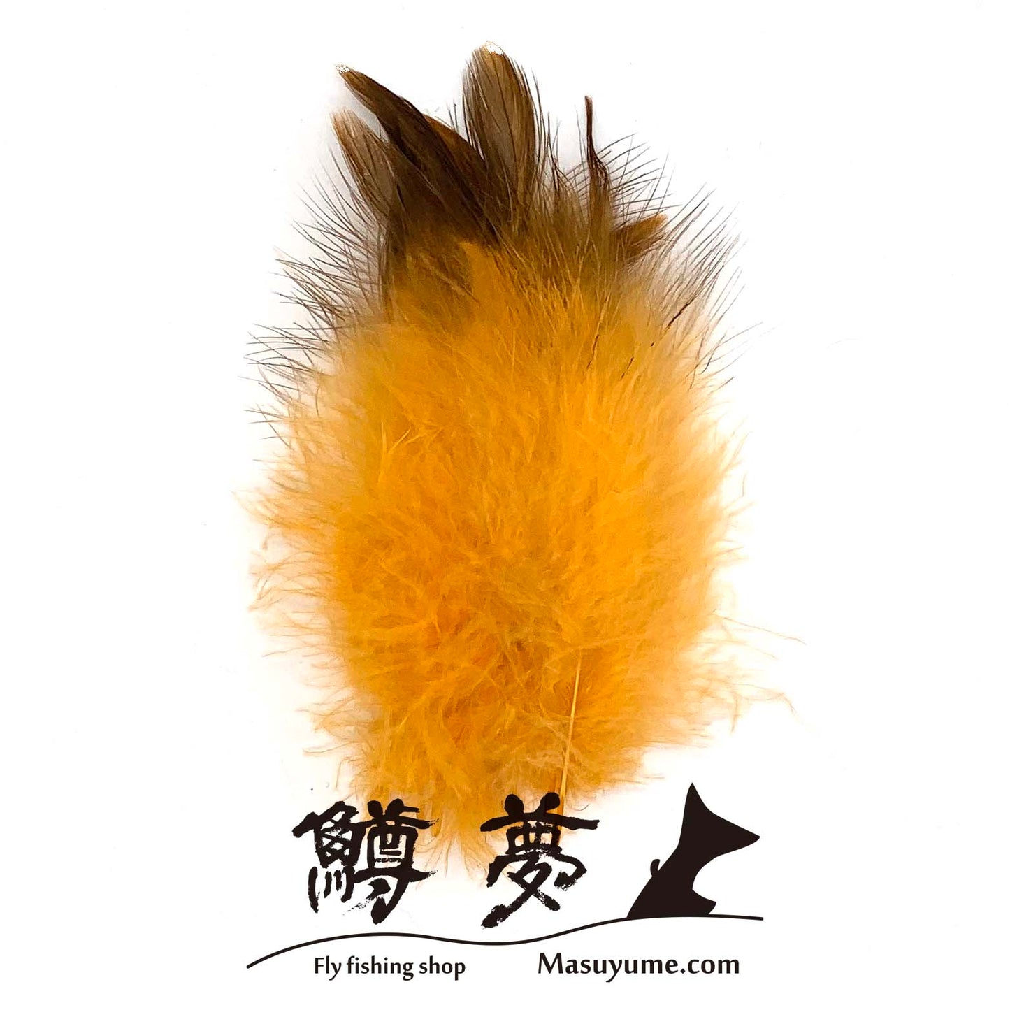 Eagle Marabou Vulthur Gryphus