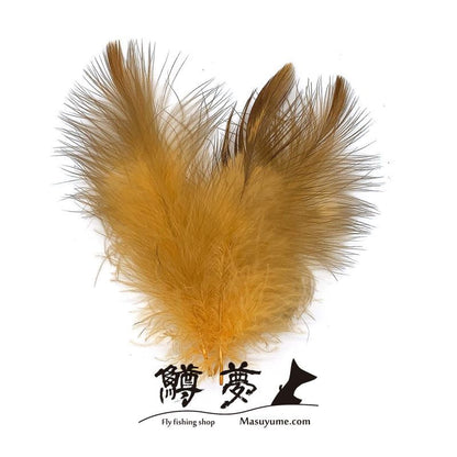 Eagle Marabou Vulthur Gryphus