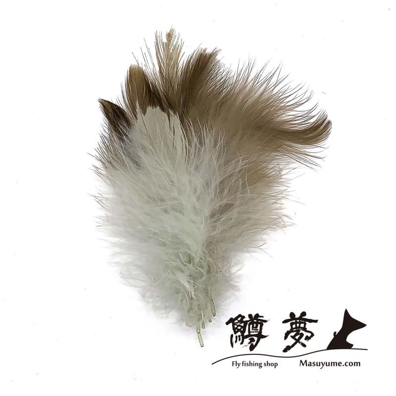 Eagle Marabou Vulthur Gryphus