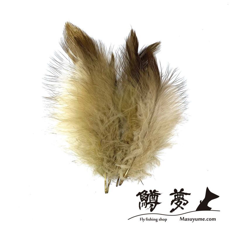 Eagle Marabou Vulthur Gryphus