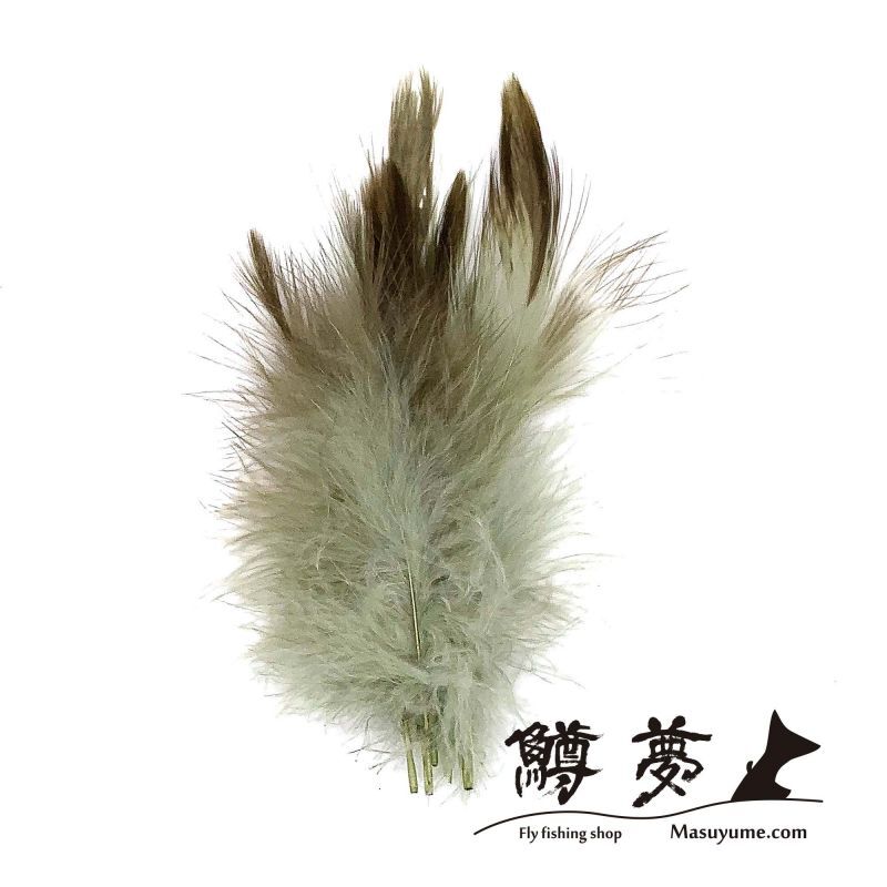 Eagle Marabou Vulthur Gryphus