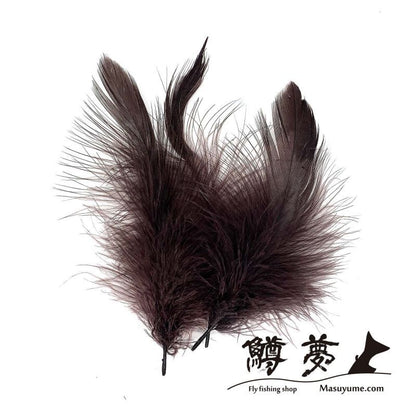 Eagle Marabou Vulthur Gryphus