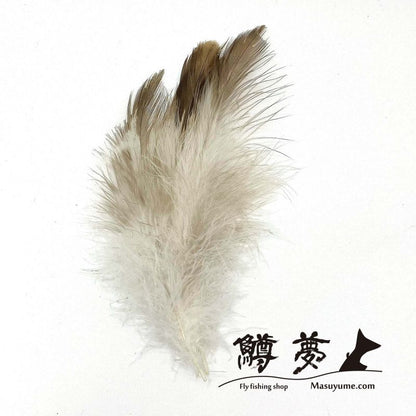 Eagle Marabou Vulthur Gryphus