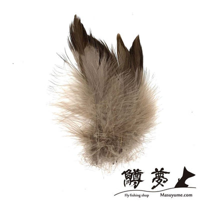 Eagle Marabou Vulthur Gryphus