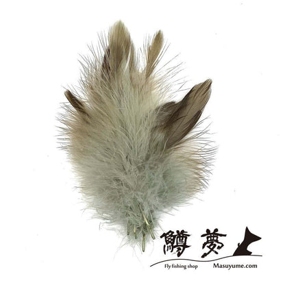 Eagle Marabou Vulthur Gryphus