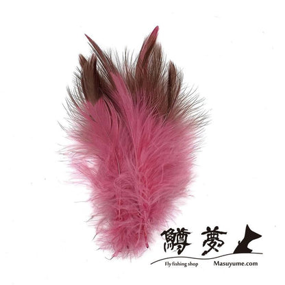 Eagle Marabou Vulthur Gryphus