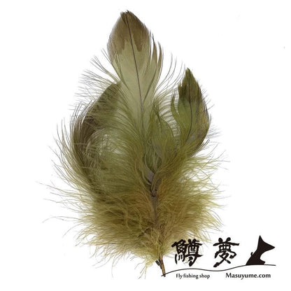 Eagle Marabou Vulthur Gryphus