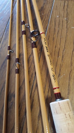 TSR Single-hand composite rod