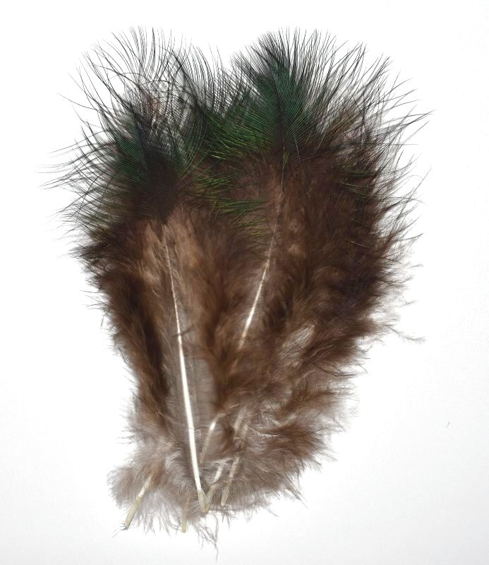 CANAL Peacock Marabou