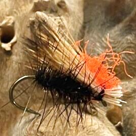 Elk hair caddis with good visibility, same-day shipping available