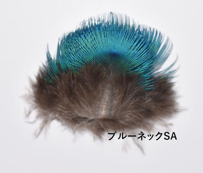 CANAL Peacock Blue Neck Green Neck