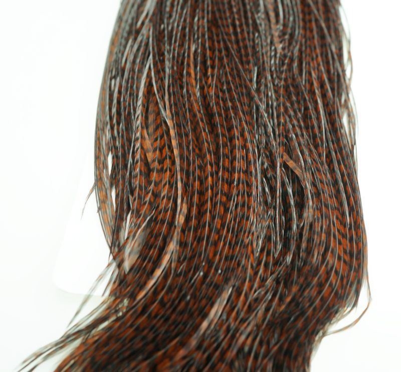 Whiting High & Dry Cock Hackle/HIGH&DRY ROOSTER CAPE Grizzly Dyed Coachman Brown