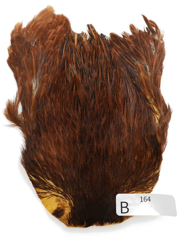 India Hen Neck B151-B200