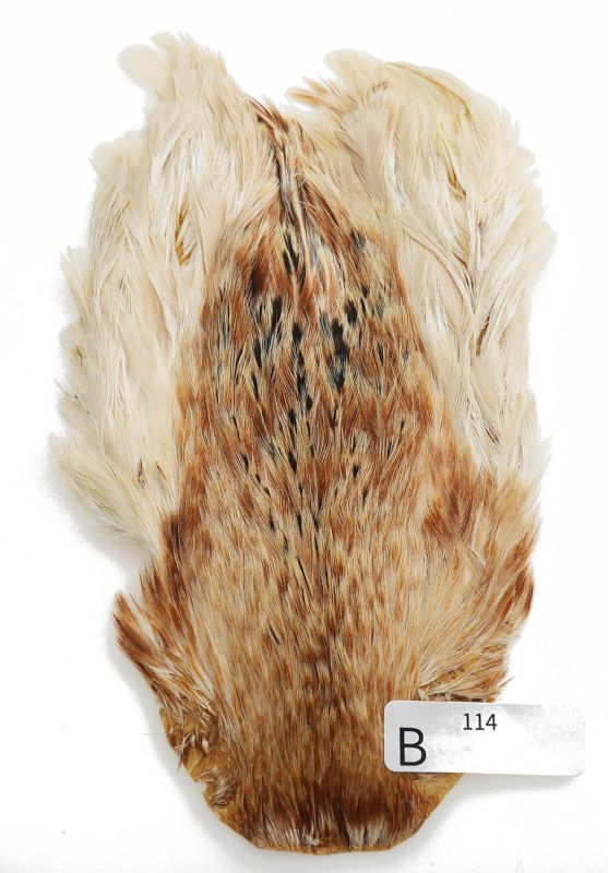 India Hen Neck B101-B150