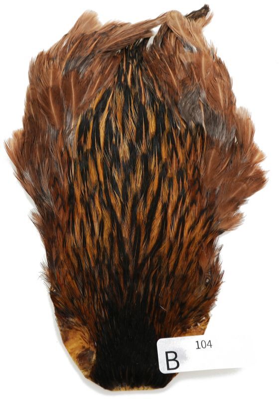 India Hen Neck B101-B150