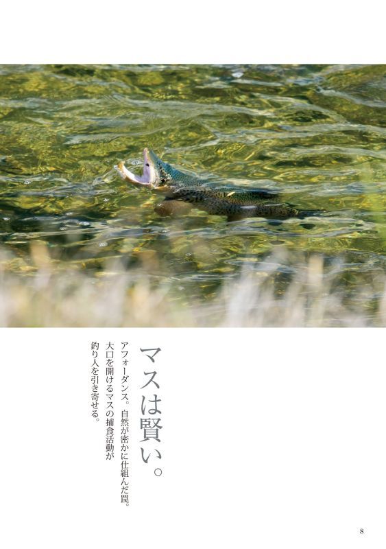 Fish Camp Life Hokkaido Invitation to the Outdoors - Camping and Trout Fishing Trip in Four Seasons - Free Shipping