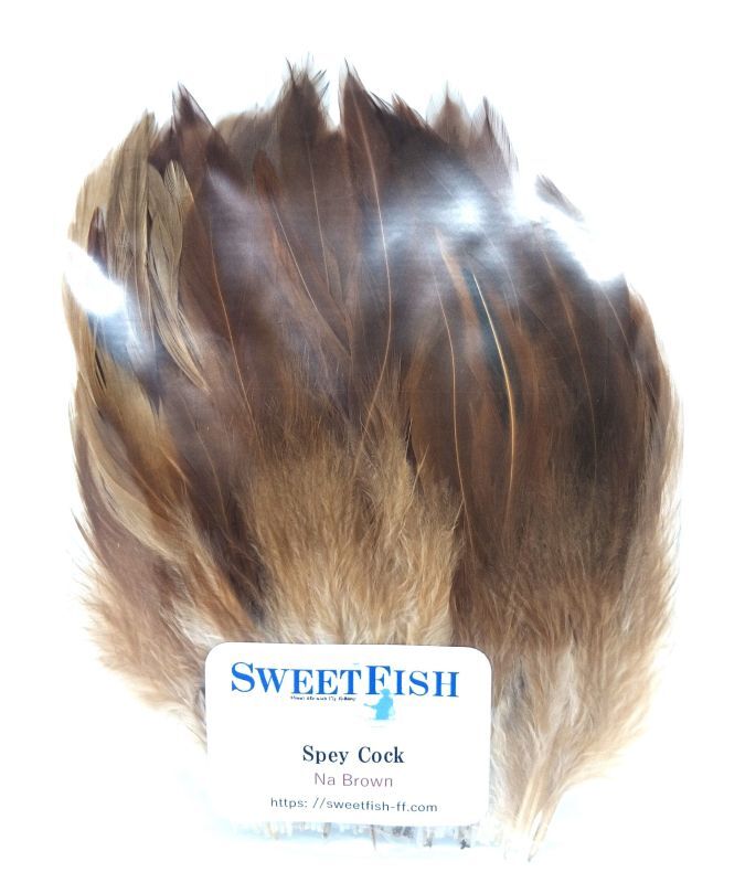 Spey Cock Sweetfish