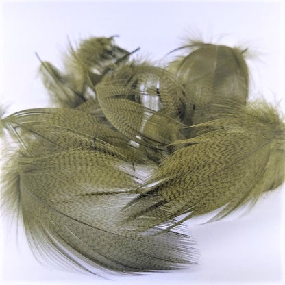 Gray Mallard Feather Bulk Pack Sweetfish