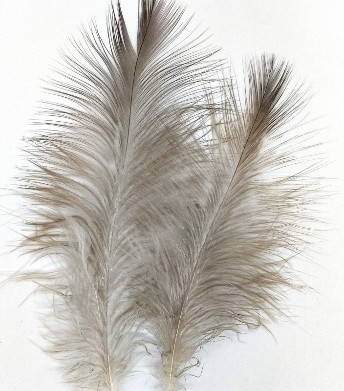 Golden Eagle Marabou Sweetfish