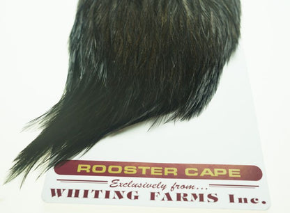 Coq de Leon Rooster Cape Black　No2