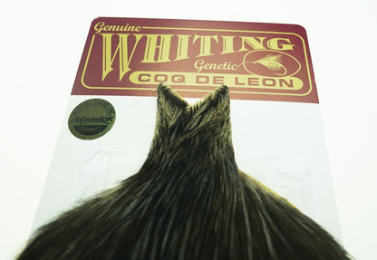 Coq de Leon Rooster Cape Black　No2